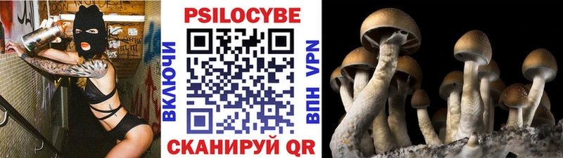 Галлюциногенные грибы мицелий  Черноголовка 